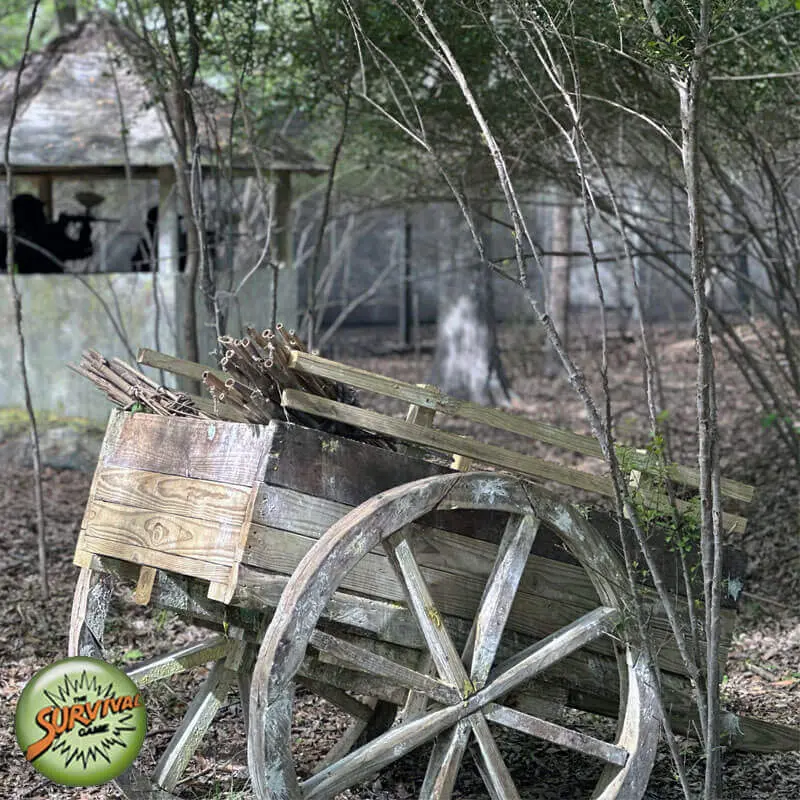 wagonc